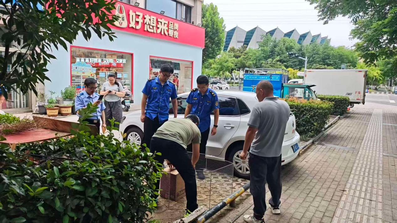 图片7.png